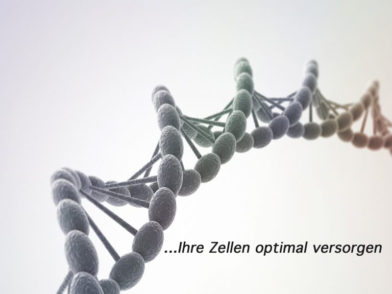 Mikronährstoffe und warum Sie sie kennen lernen sollten