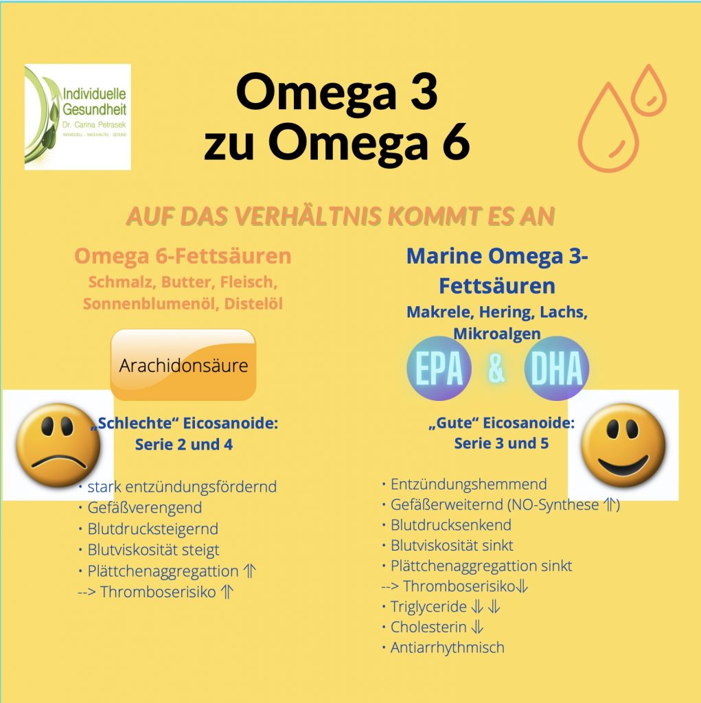 Omega 3 zu Omega 6